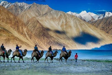 Amritsar to Leh Taxi