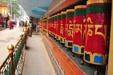 Amritsar to Dharamshala Tour Package